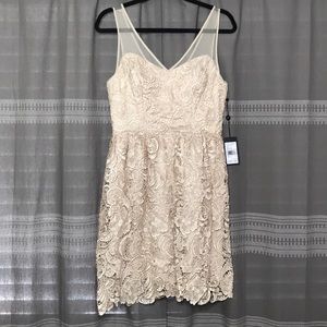 Adrianna Papell Dress
